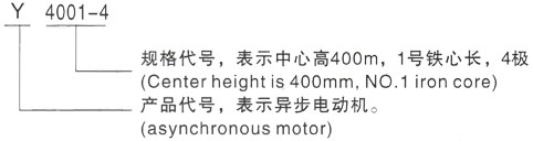 西安泰富西玛Y系列(H355-1000)高压YR5601-6/800KW三相异步电机型号说明